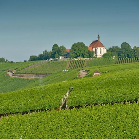 Vogelsburg Hotel Escherndorf Ngoại thất bức ảnh