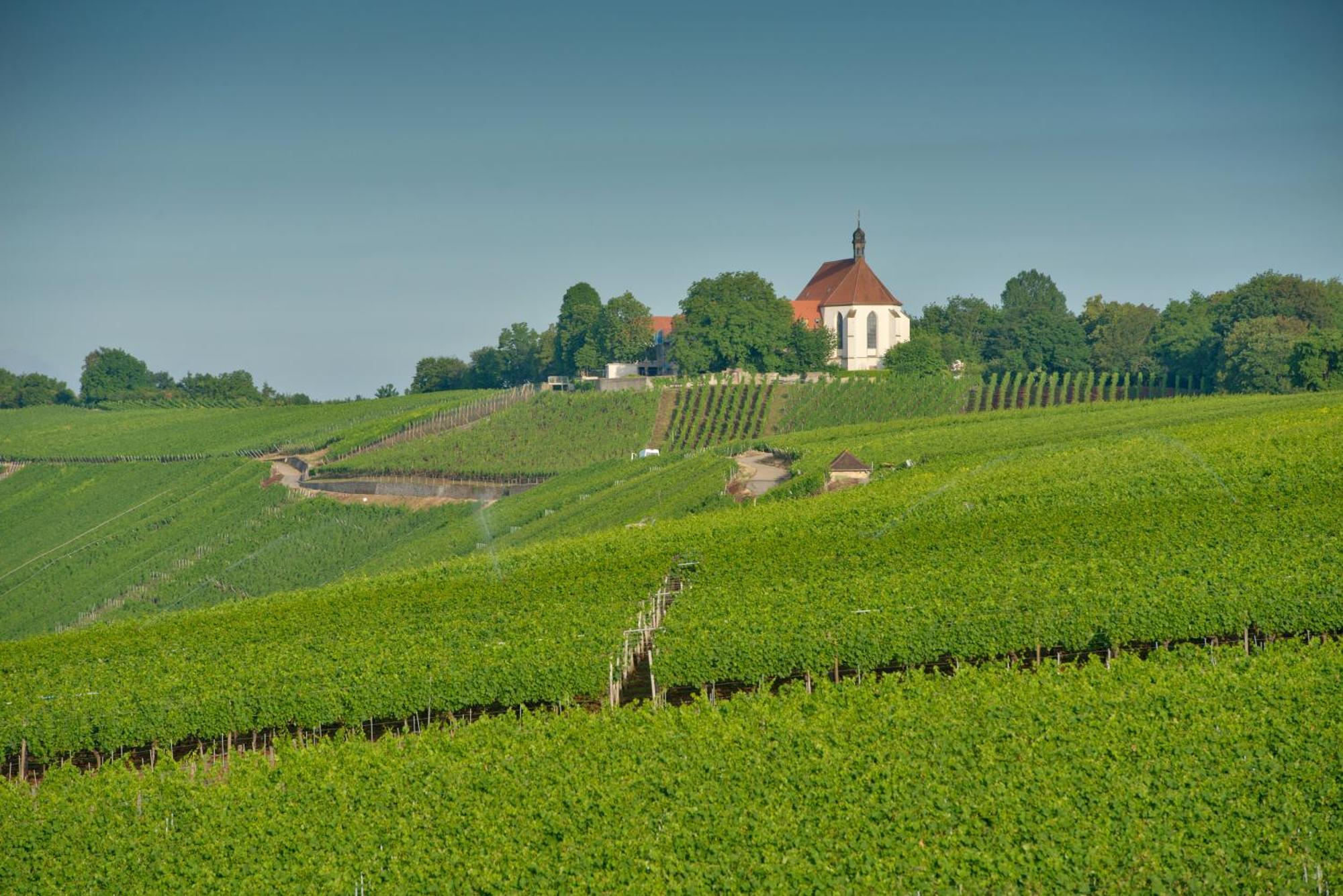Vogelsburg Hotel Escherndorf Ngoại thất bức ảnh
