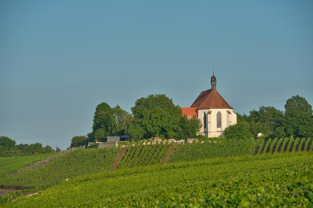 Vogelsburg Hotel Escherndorf Ngoại thất bức ảnh