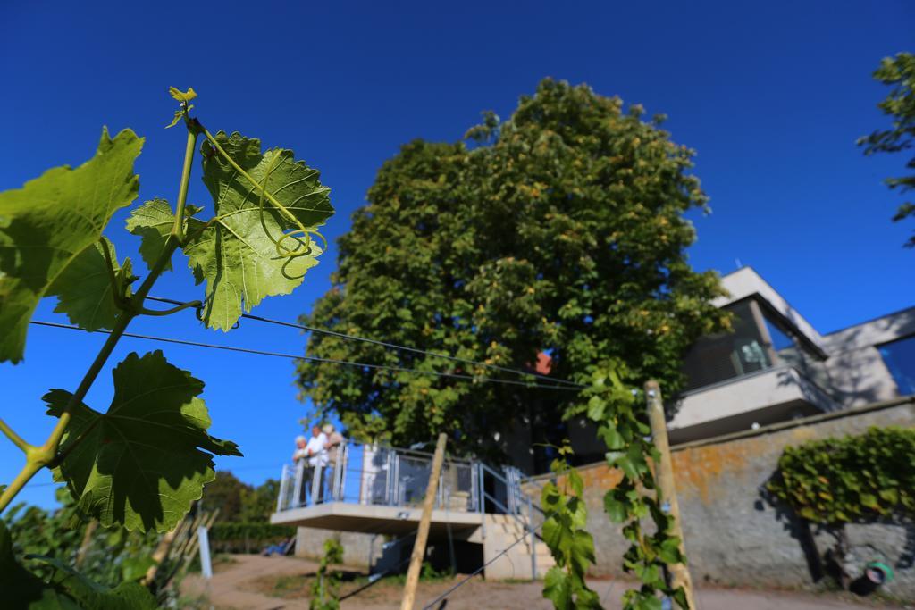 Vogelsburg Hotel Escherndorf Ngoại thất bức ảnh