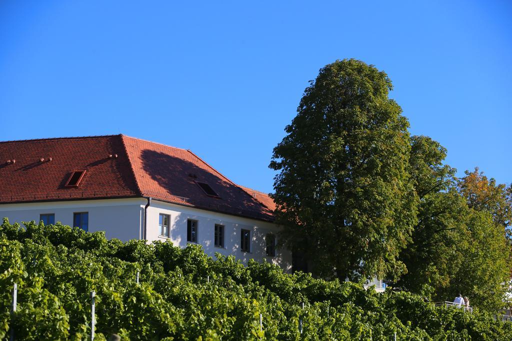 Vogelsburg Hotel Escherndorf Ngoại thất bức ảnh