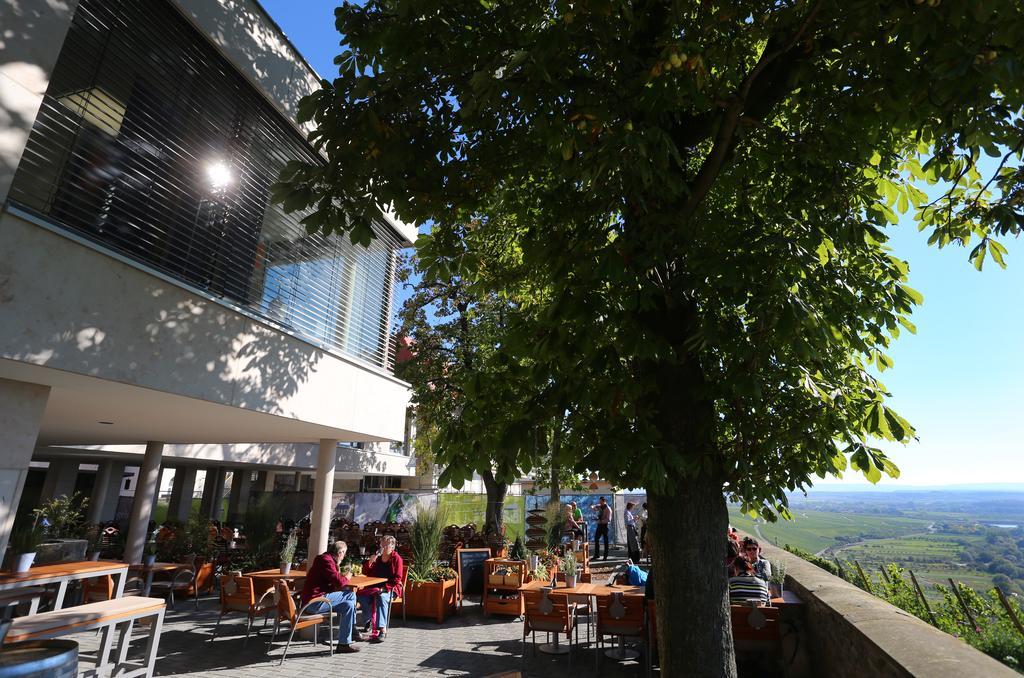 Vogelsburg Hotel Escherndorf Ngoại thất bức ảnh