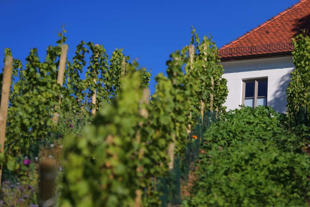 Vogelsburg Hotel Escherndorf Ngoại thất bức ảnh