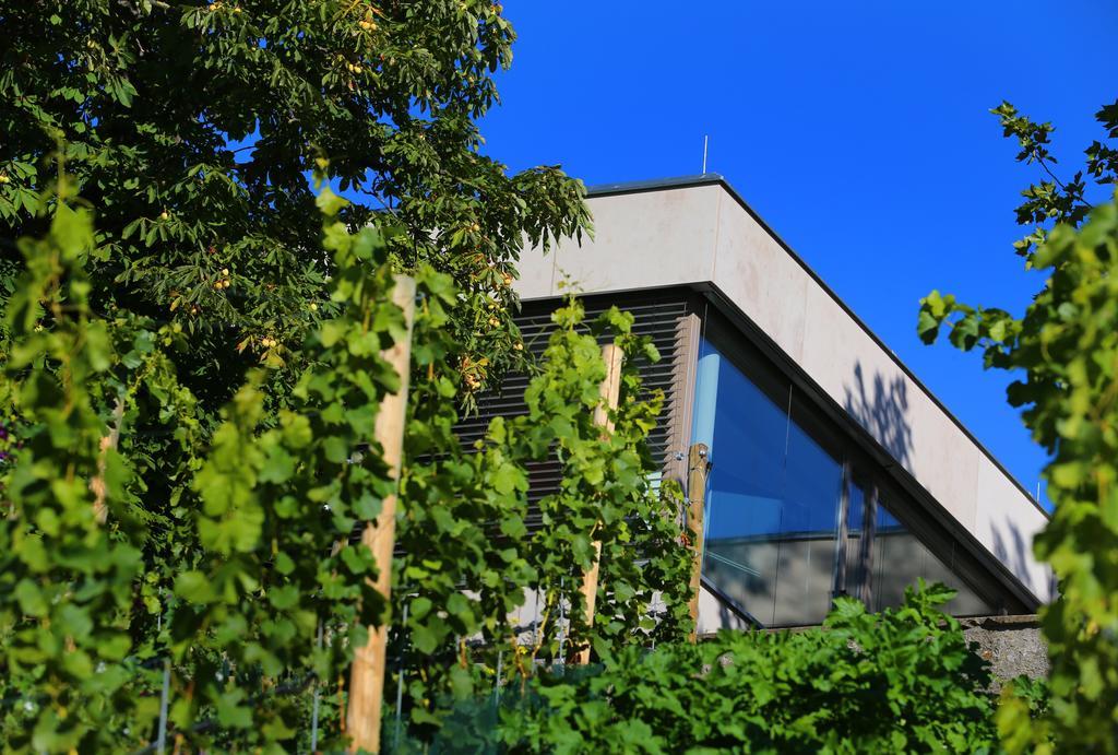 Vogelsburg Hotel Escherndorf Ngoại thất bức ảnh