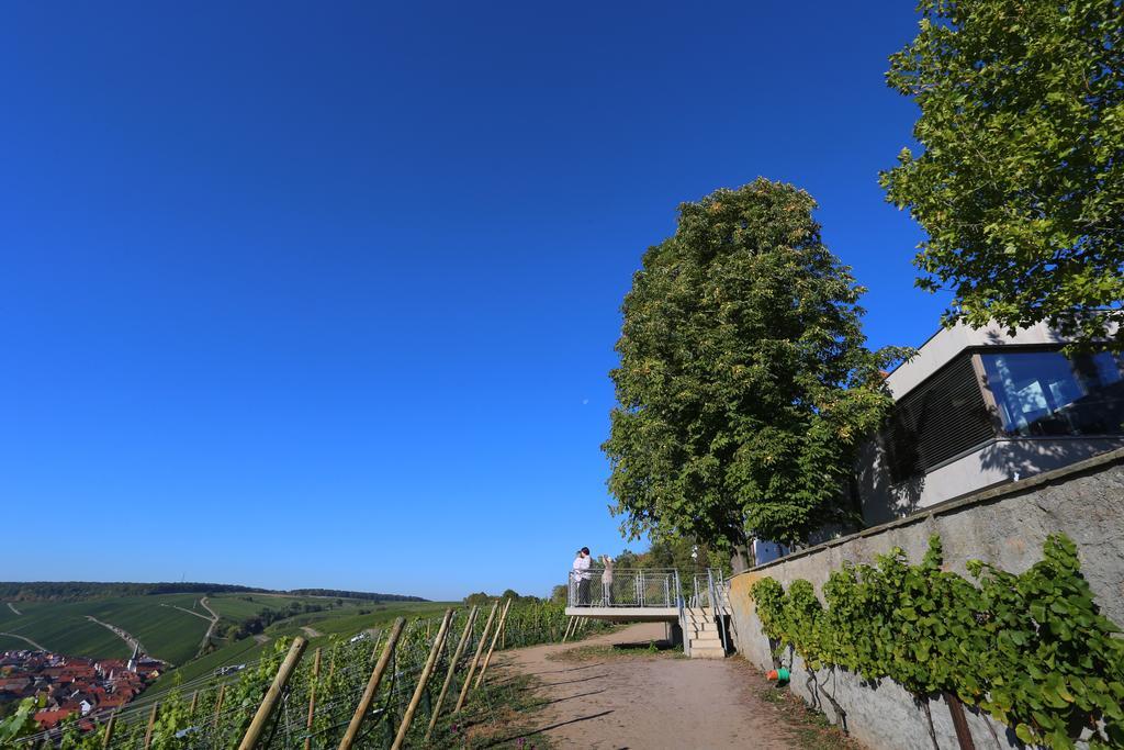Vogelsburg Hotel Escherndorf Ngoại thất bức ảnh